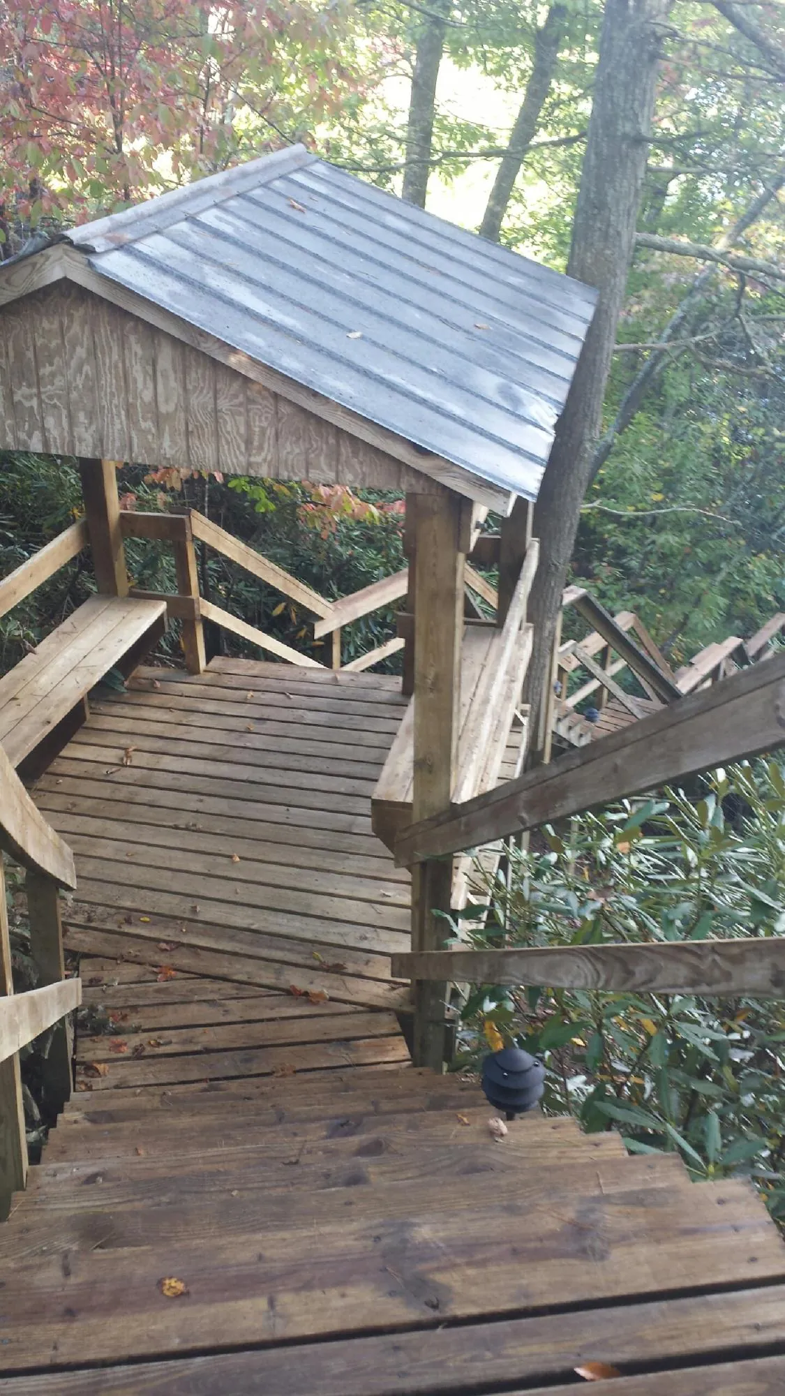 Metal roofed shelter over wooden steps on a wooded walkway — Skylight Repair & Installation work by our crew in Hackleburg